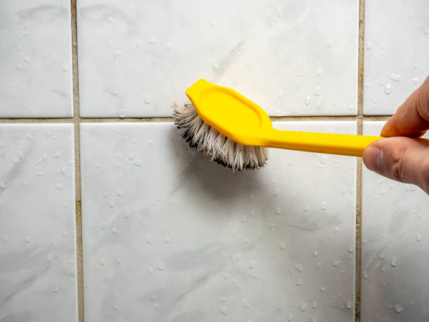 Best Mold Testing  in Hustisford, WI