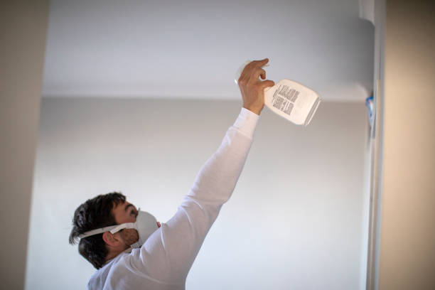 Best Residential Mold Removal  in Hustisford, WI