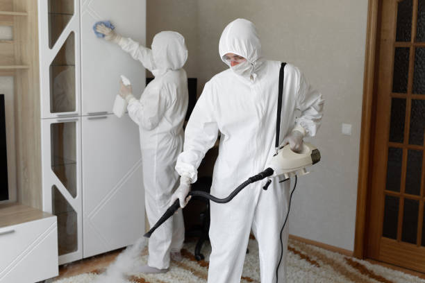 Mold Removal Process in Hustisford, WI