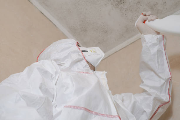 Hustisford, WI Mold Removal Company