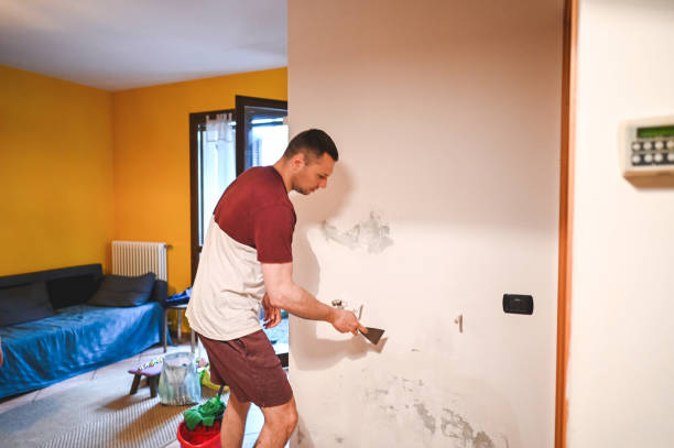 Best Crawl Space Mold Removal  in Hustisford, WI