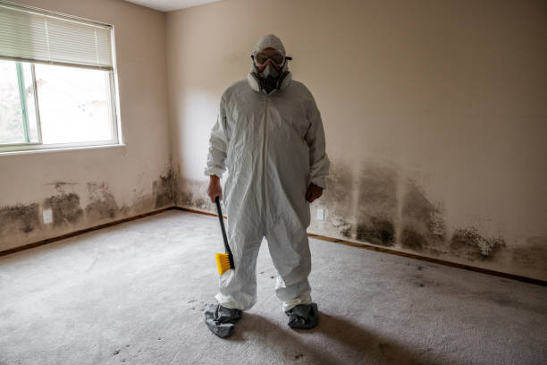 Best Certified Mold Removal  in Hustisford, WI