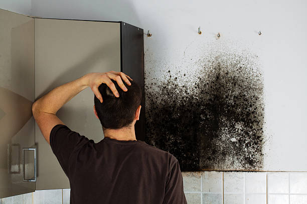 Best Office Mold Removal Services  in Hustisford, WI